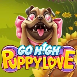 Go High Puppy Love casino game by RubyPlay – featured logo at Jokery Casino